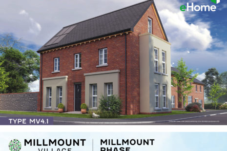 Millmount Village site 448a